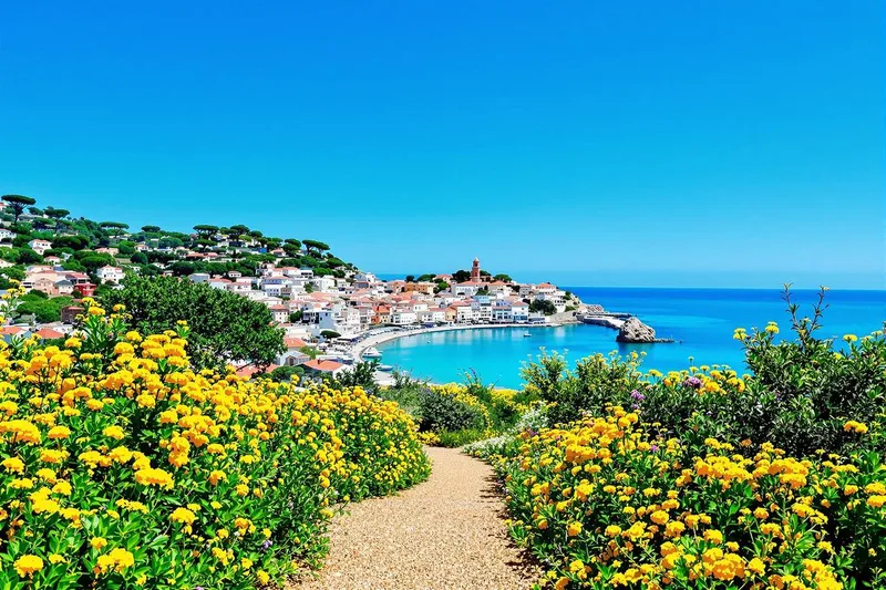 Que faire à Bormes-les-Mimosas ?