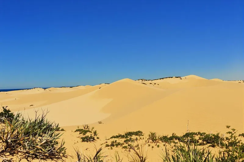 Dunes et sable à perte de vue, ce désert de Nouvelle-Aquitaine évoque le Sahara