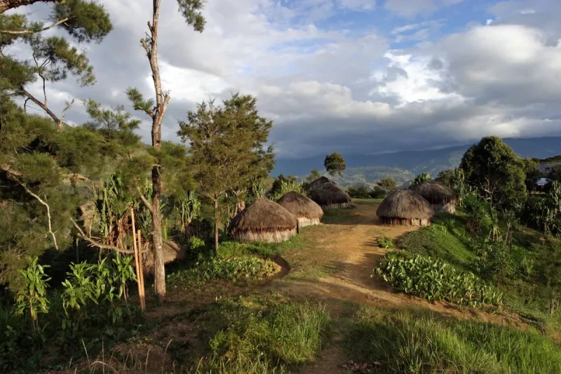 Papouasie-Nouvelle-Guinée : nature sauvage et traditions fascinantes à découvrir