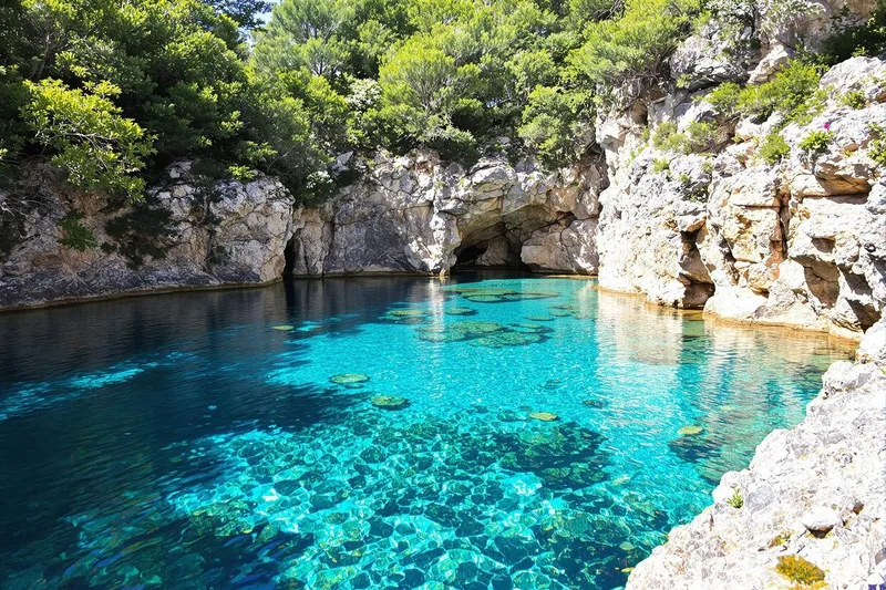 Où trouver les plus belles piscines naturelles en Corse du sud ?