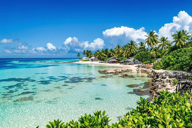 Quand l'océan réclame Tuvalu : l'urgence climatique racontée par une île en péril