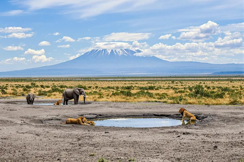 Quand partir en Tanzanie : meilleures périodes pour voyager