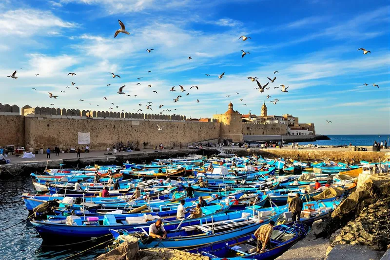 Que faire à Essaouira : 10 idées pour un séjour inoubliable