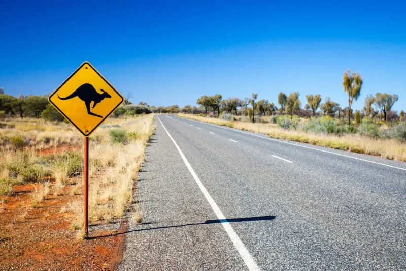 Road trip en Australie : les plus beaux itinéraires pour explorer le pays des kangourous