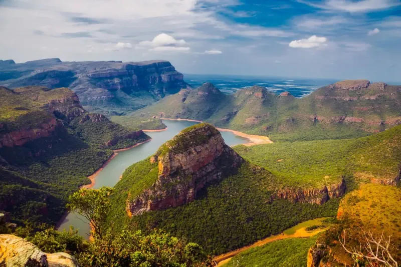 Safari et paysages spectaculaires : que faire en Afrique du Sud ?