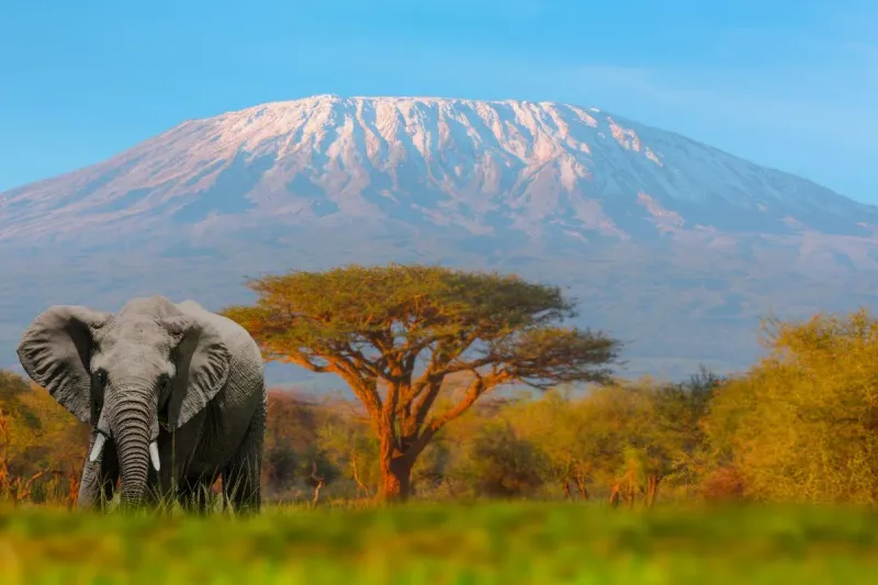 Safari, plages et montagnes : les incontournables à voir en Tanzanie