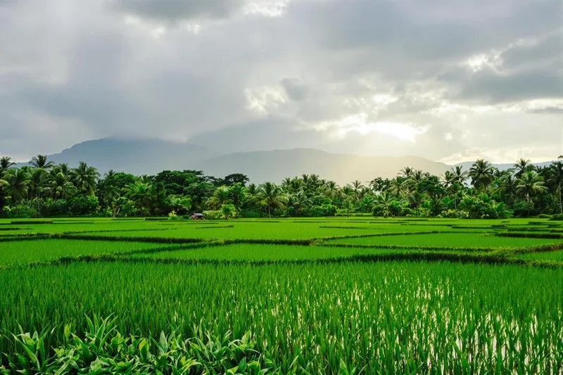 Saison des pluies à Bali : ce qu’il faut prévoir avant de partir